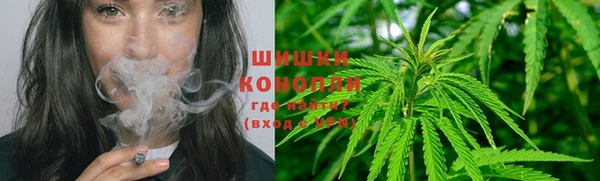 прущие крисы Армянск