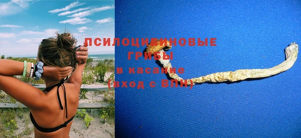 дживик Аркадак