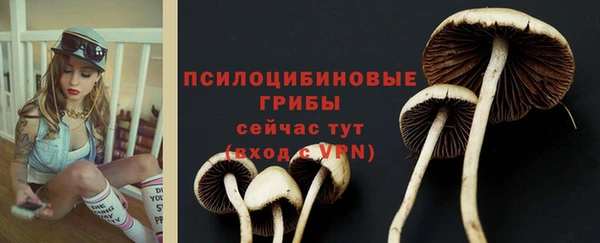круглые Арсеньев