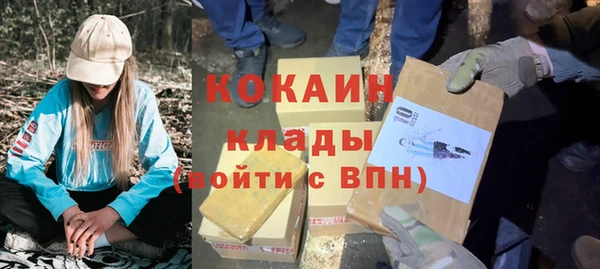 дживик Аркадак